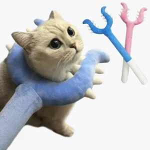 Jouet pour chat