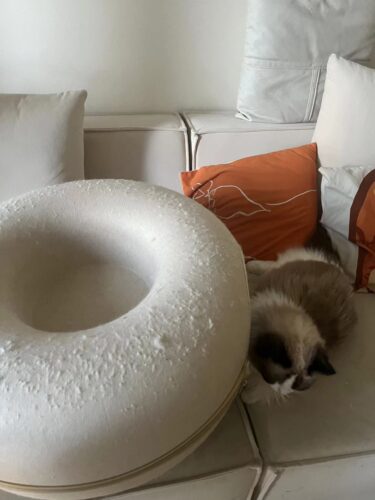 Niche Panier & Tunnel du Chat 3 en 1 Donut photo review