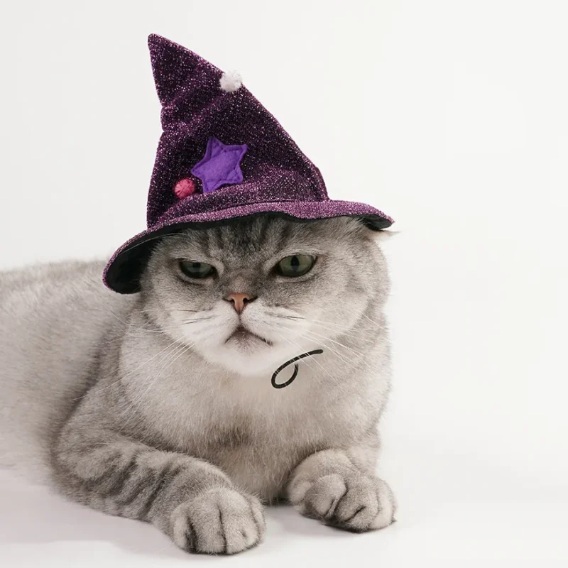 Un chat gris repose en portant un chapeau de sorcier violet.