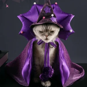 Un chat gris porte une robe et un chapeau de sorcier violets avec style.
