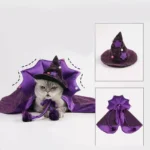 Un chat gris porte une robe de sorcier violette avec élégance.