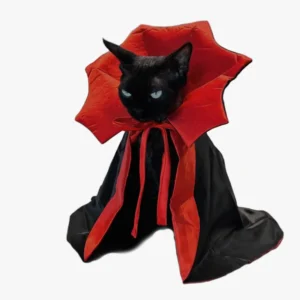 Un chat noir porte élégamment un costume de vampire.