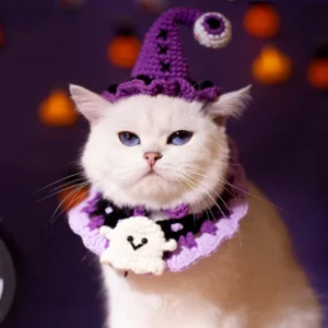 Un chat blanc porte un déguisement violet pour Halloween