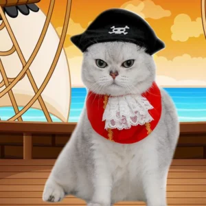 Un chat blanc porte un déguisement de pirate complet