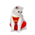 Un chat blanc porte un déguisement complet de McDonald's avec chapeau et tablier