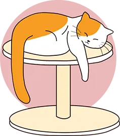 Un chat dort en hauteur avec les pattes qui pendent dans le vide