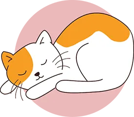 Un chat dort à plat ventre, détendu, les pattes repliées

