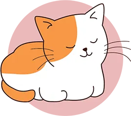 Un chat dort avec les pattes complètement cachées sous son corps
