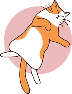 Un chat dort sur le dos avec les quatre pattes en l'air