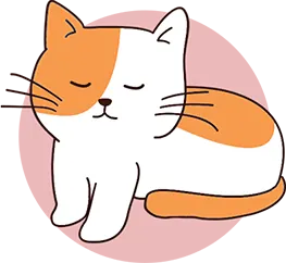 Un chat dort assis droit, en position de sphinx
