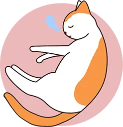 Un chat dort confortablement allongé sur le côté