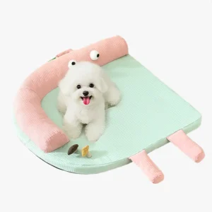 Un petit bichon heureux sur un coussin pour chien au design mignon