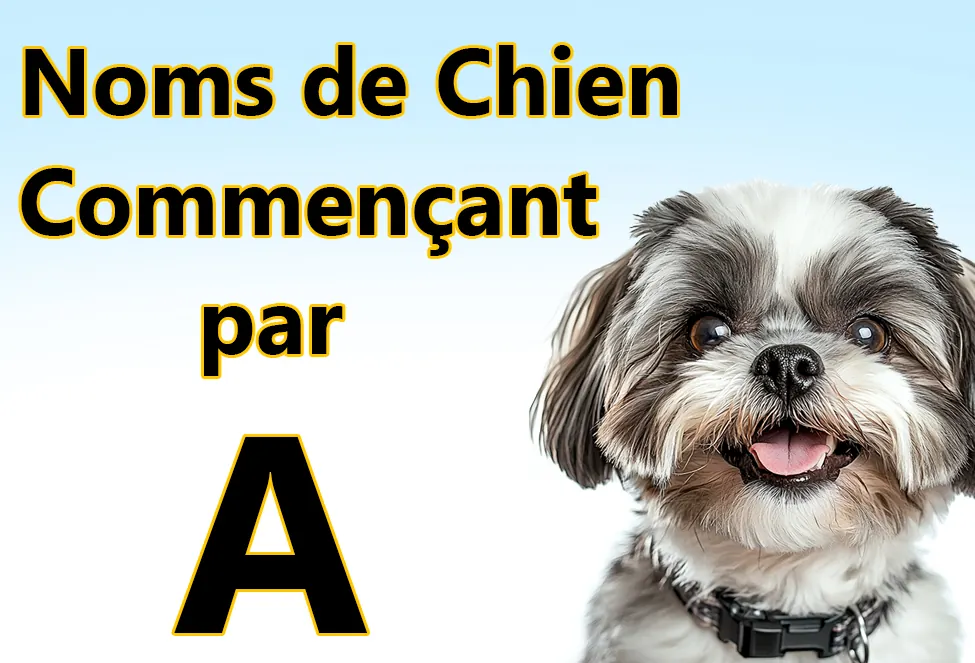 Noms de Chien Commençant par A : Guide Complet