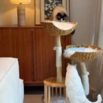 Arbre à Chat Bois Flotté Design Scandinave photo review