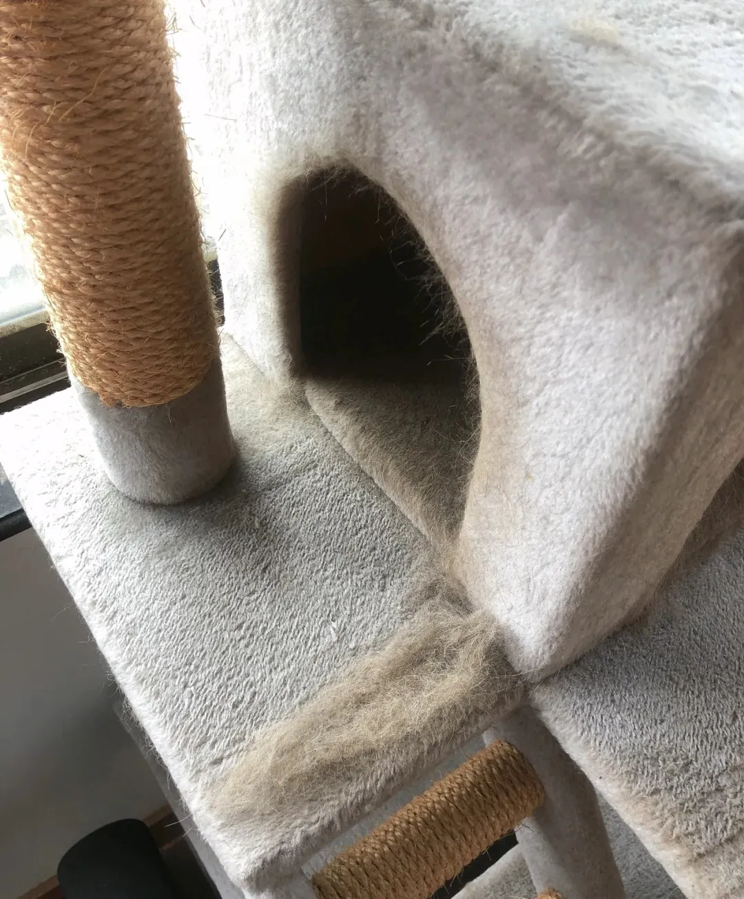 Comment Nettoyer un Arbre à Chat : Guide Complet Gros plan sur un poteau en sisal d'arbre à chat nécessitant un nettoyage régulier