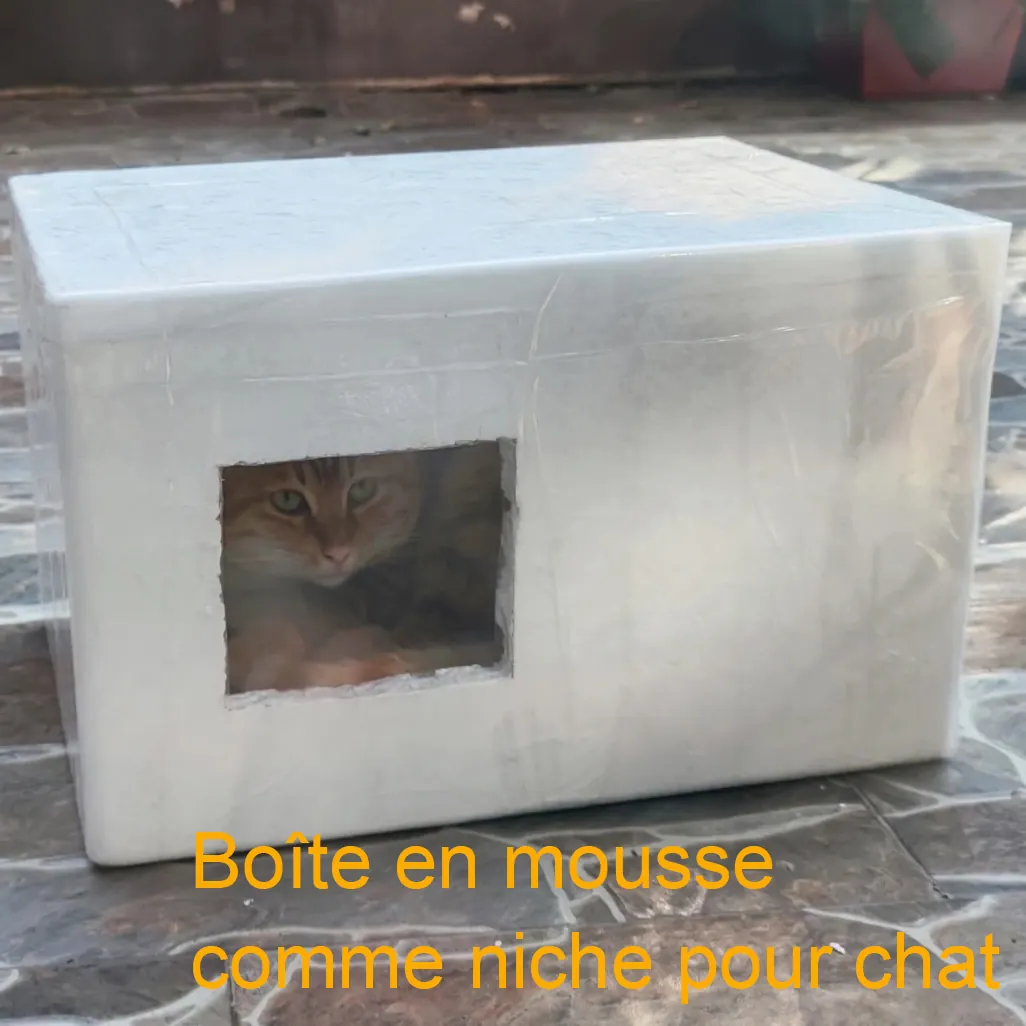 Comment faire une cabane pour chat l'hiver