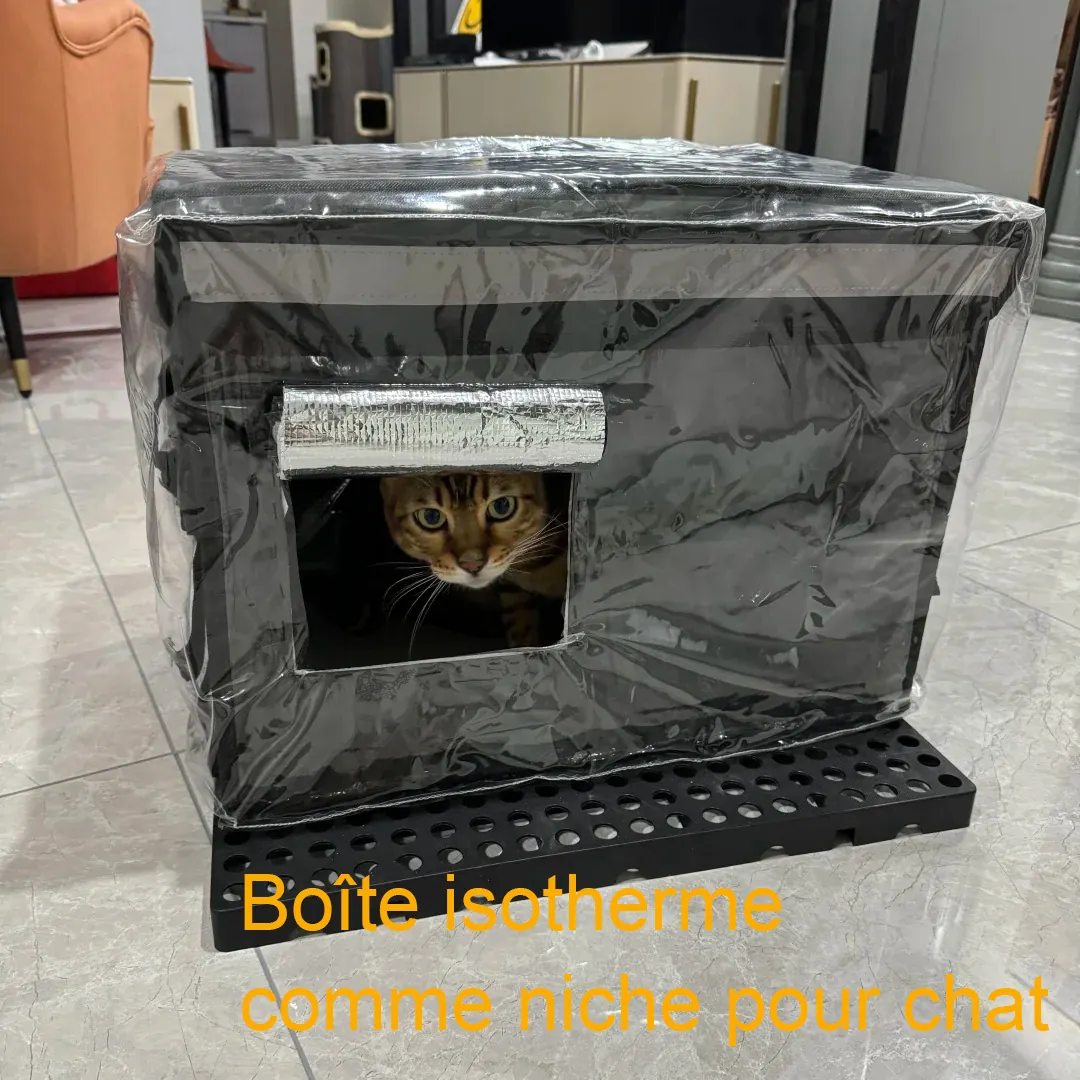 Comment faire une cabane pour chat l'hiver Deux chats se reposant confortablement au chaud sur un coussin douillet, illustration de l'importance du confort thermique pour les félins