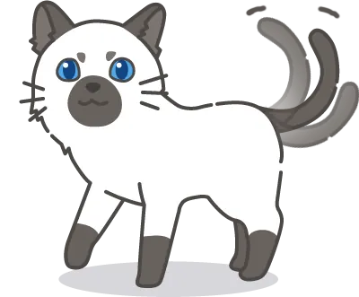 Chat agitant sa queue rapidement exprimant irritation et agacement