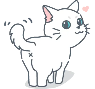 Chat avec queue dressée verticalement montrant confiance et bonheur