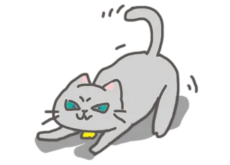 Chat avec queue gonflée et poils hérissés montrant peur et menace