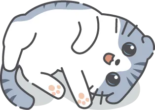 Chat couché sur le dos exposant son ventre montrant confiance totale