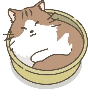 Chat faisant des clignements lents des yeux montrant affection et confiance