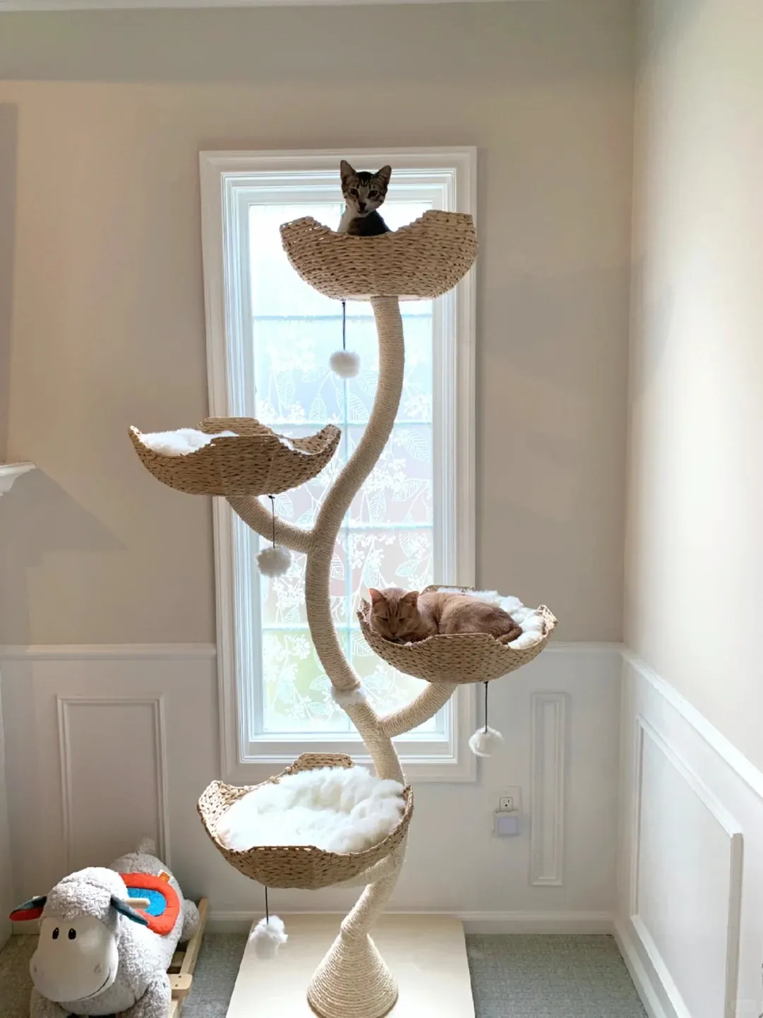 Comment Nettoyer un Arbre à Chat : Guide Complet Chat heureux et satisfait sur son arbre à chat propre et bien entretenu