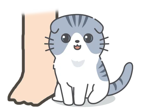 Chat se frottant contre les jambes marquant son territoire et montrant affection