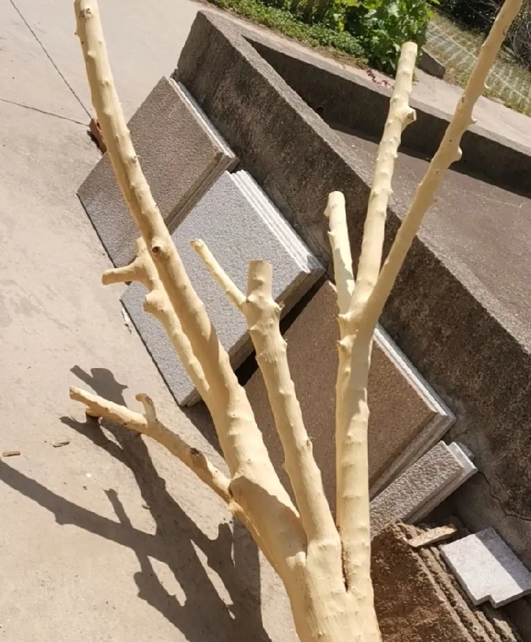 Fabriquer un Arbre à Chat en Bois Naturel : Guide Complet DIY Écorçage d'un tronc d'arbre frais avec un couteau pour fabriquer un arbre à chat