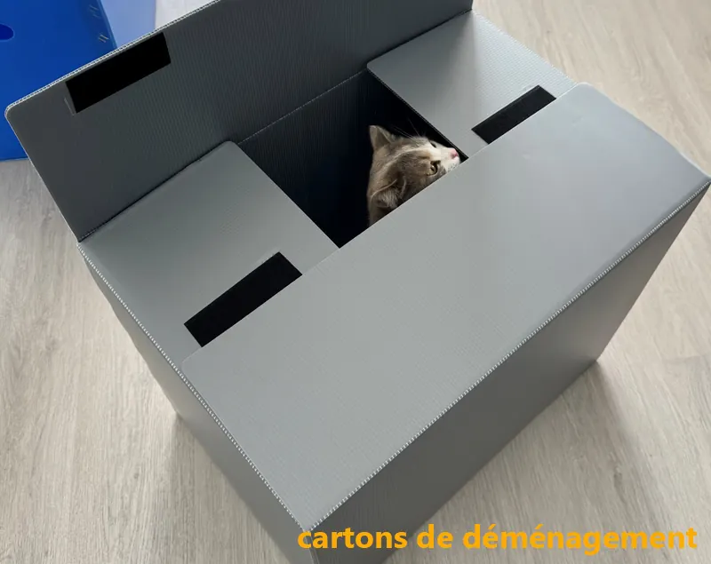 Comment faire une cabane pour chat l'hiver