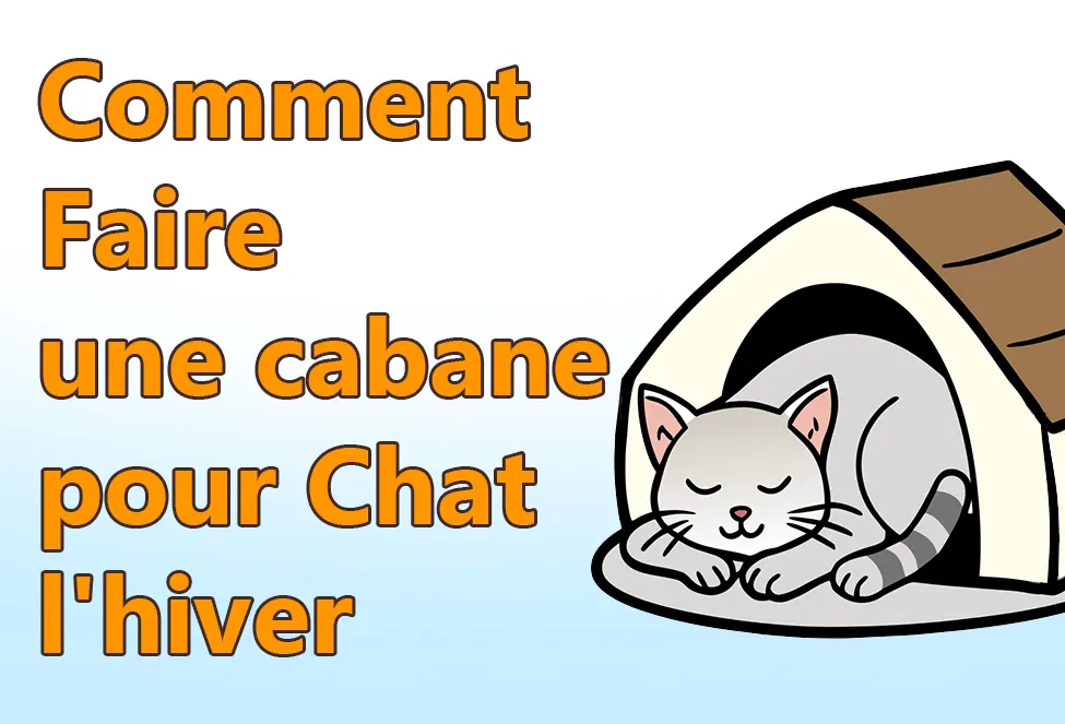Comment faire une cabane pour chat l'hiver