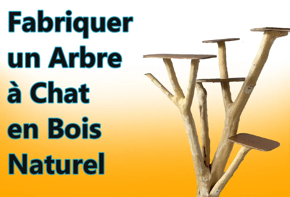 Fabriquer un Arbre à Chat en Bois Naturel