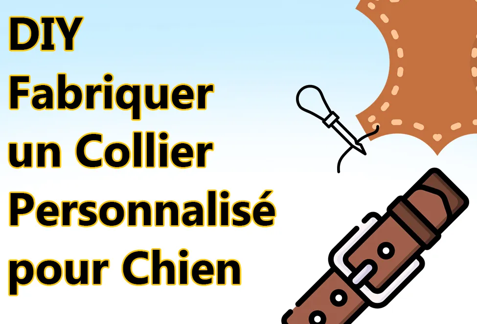 diy collier chien personnalise
