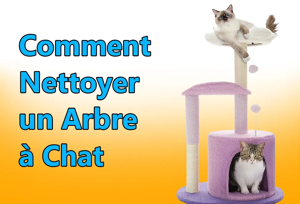Comment Nettoyer un Arbre à Chat