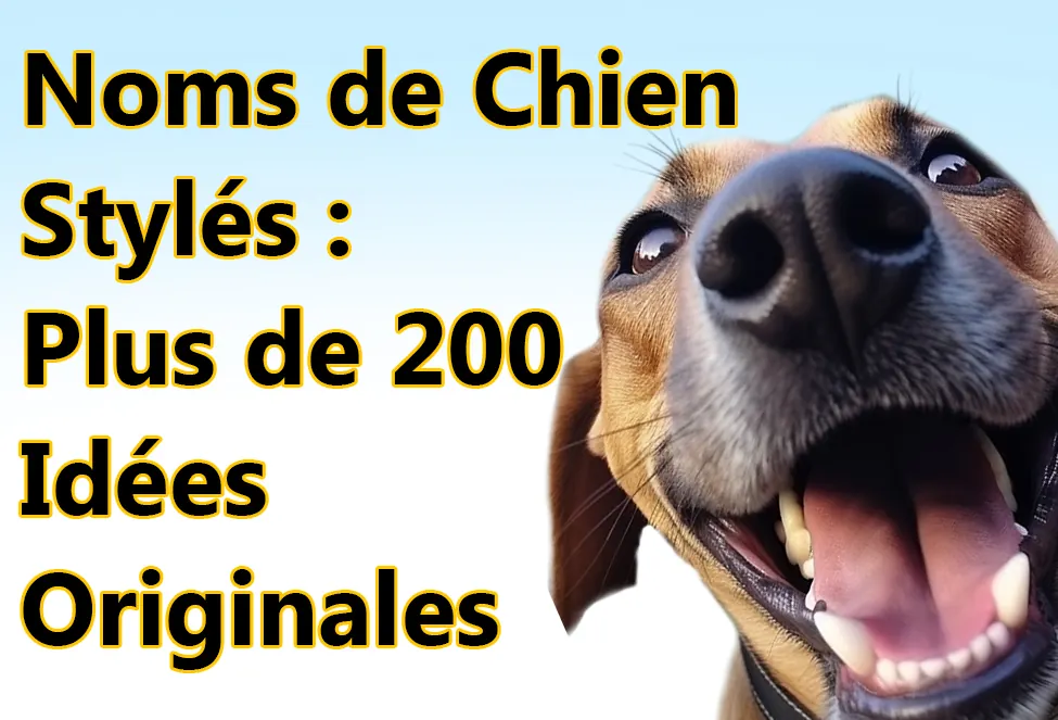 Noms de Chien Stylés : Plus de 200 Idées Originales
