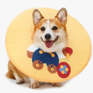 collerette chien design orange ours