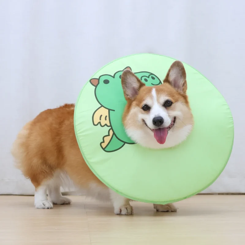 collerette pour chien vert dinosaure