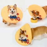 collerette pour chien pratique confortable orange