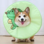 collerette pour chien couleur vert motif dinosaure