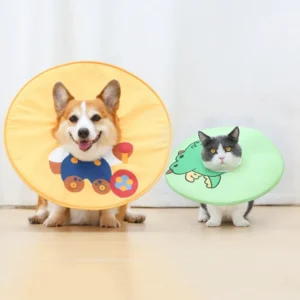 collerette design dinosaure et ours pour chat et chien