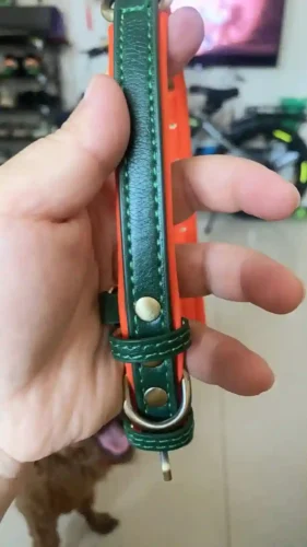 Click to view full screen Collier pour Chien Personnalisé en Cuir Pureté photo review