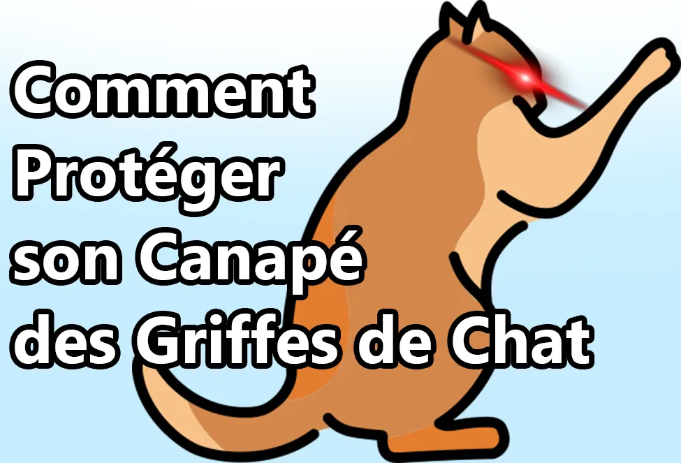 Comment Protéger son Canapé des Griffes de Chat