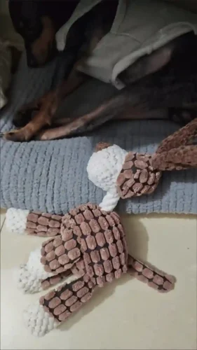 Click to view full screen Doudou Jouet Pour Chien Âni photo review