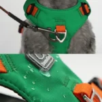 harnais bouledogue francais haut de gamme crochet de laisse solide, tissu imperméable