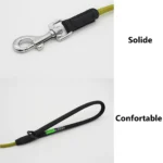 Laisse solide et confortable