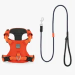 harnais orange haut de gamme et laisse noir