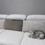 Housse Canapé Extensible - Protection Complète 360° Antidérapante photo review