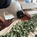 Tapis de Fouille Chien XXL Grande Forêt photo review