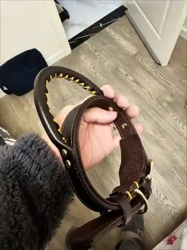 Click to view full screen Collier Chien Cuir Large Personnalisé avec Poignée photo review