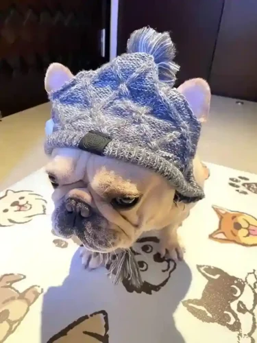 Click to view full screen Snood & Bonnet Pour Chien Furry-Friends photo review